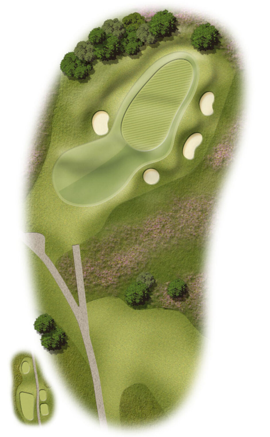 Hole 11 Map