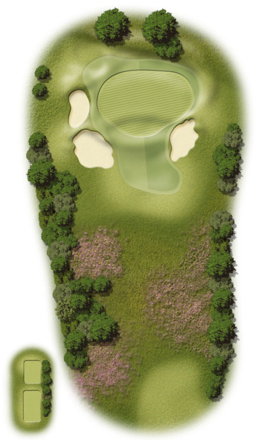 Hole 6 Map